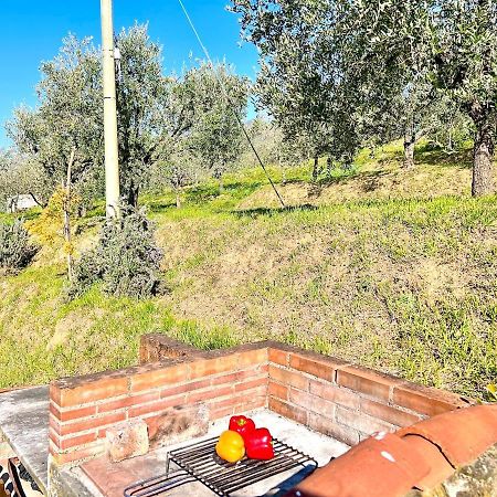 Villa Casa Pozzi Capannori Esterno foto
