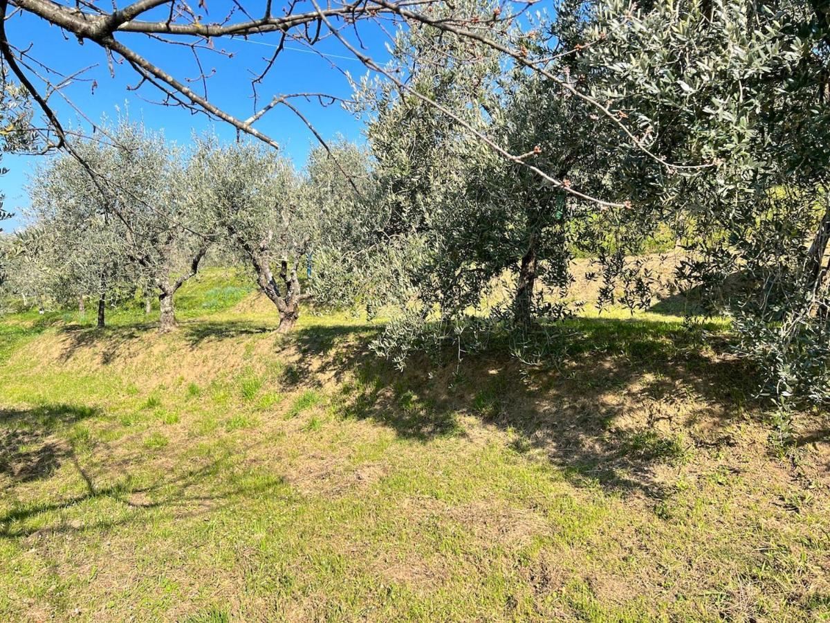 Villa Casa Pozzi Capannori Esterno foto